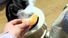 Cat reaction