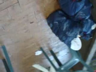 Momo prépare une surprise pour Tuxy 🚗