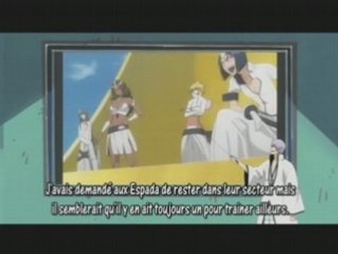 Bleach 176 Vostfr Preview + Arancar encyclopédie