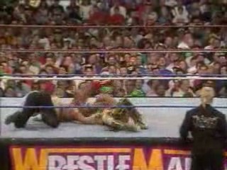 Randy Savage vs Ric Flair (1/2)