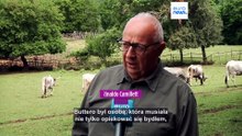 Butteri z Maremmy w Lacjum: tradycja i nowoczesność Riarto w Canale Monterano