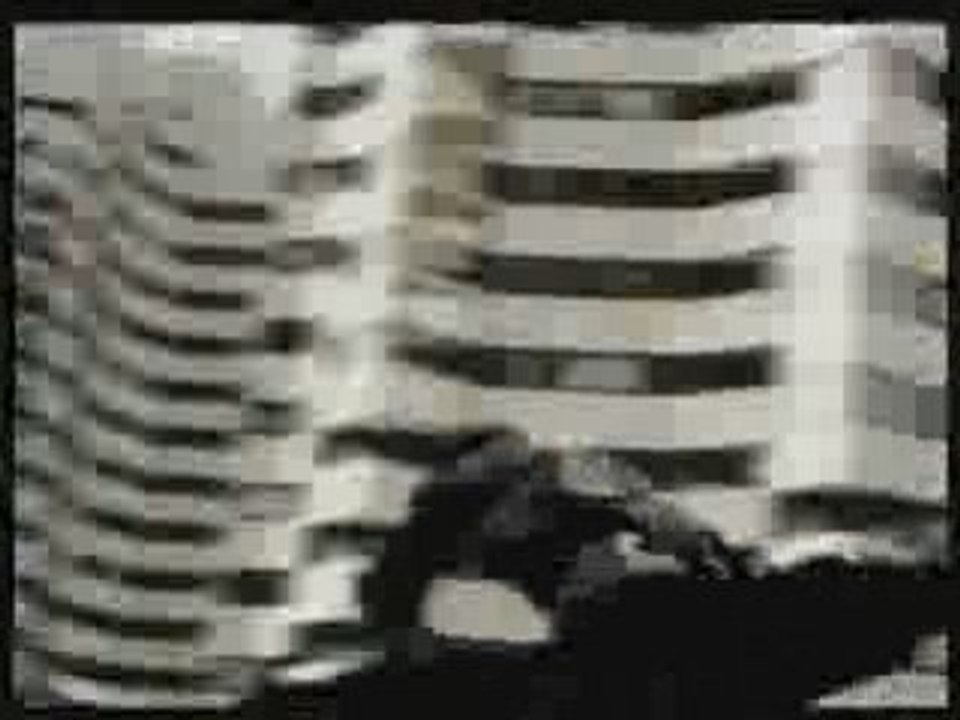 ASSASSIN - Touche d'espoir