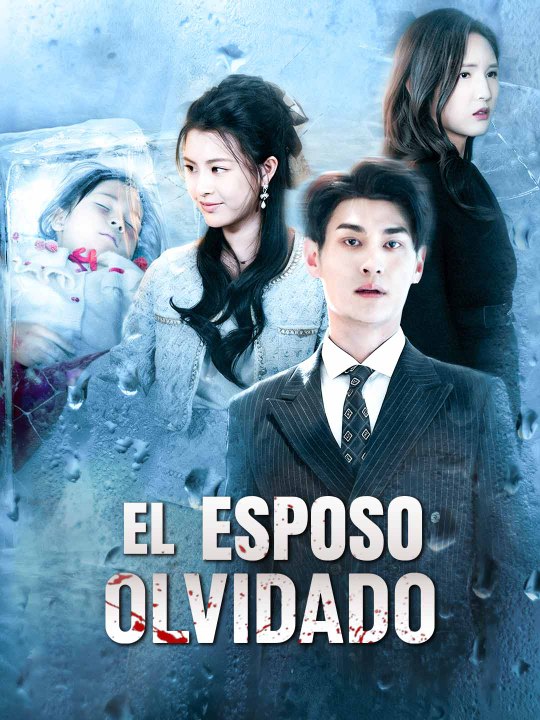 El esposo olvidado serie completa