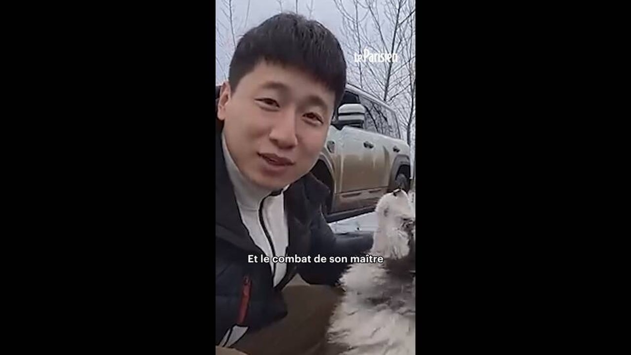 Ce chien star kidnappé puis mangé dans un restaurant