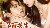 陌先生，請一直保護我 | 完整劇集 | Short Drama 繁體中文