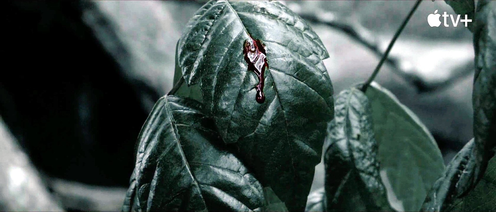 EMANCIPATION (2022) Trailer VO - HD [Full Movie]