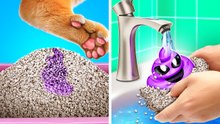 Discovering Surprises in Kitty's Litter Box: Unique Gifts for Cat's Birthday