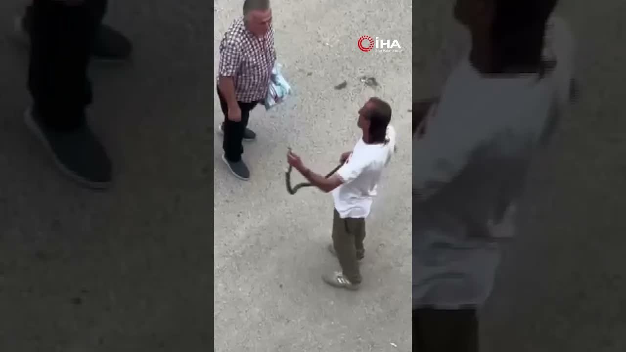 Paniğe sebep olan yılanı eliyle yakaladı