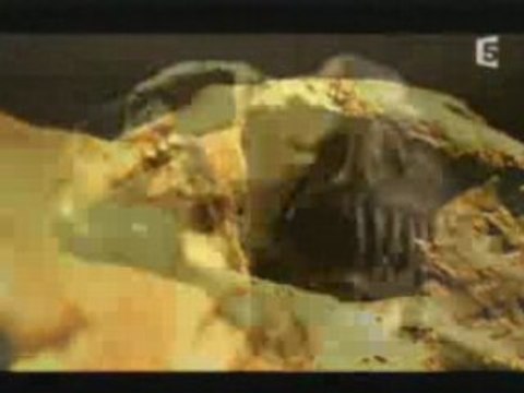 Extinction de masse extraits choisis