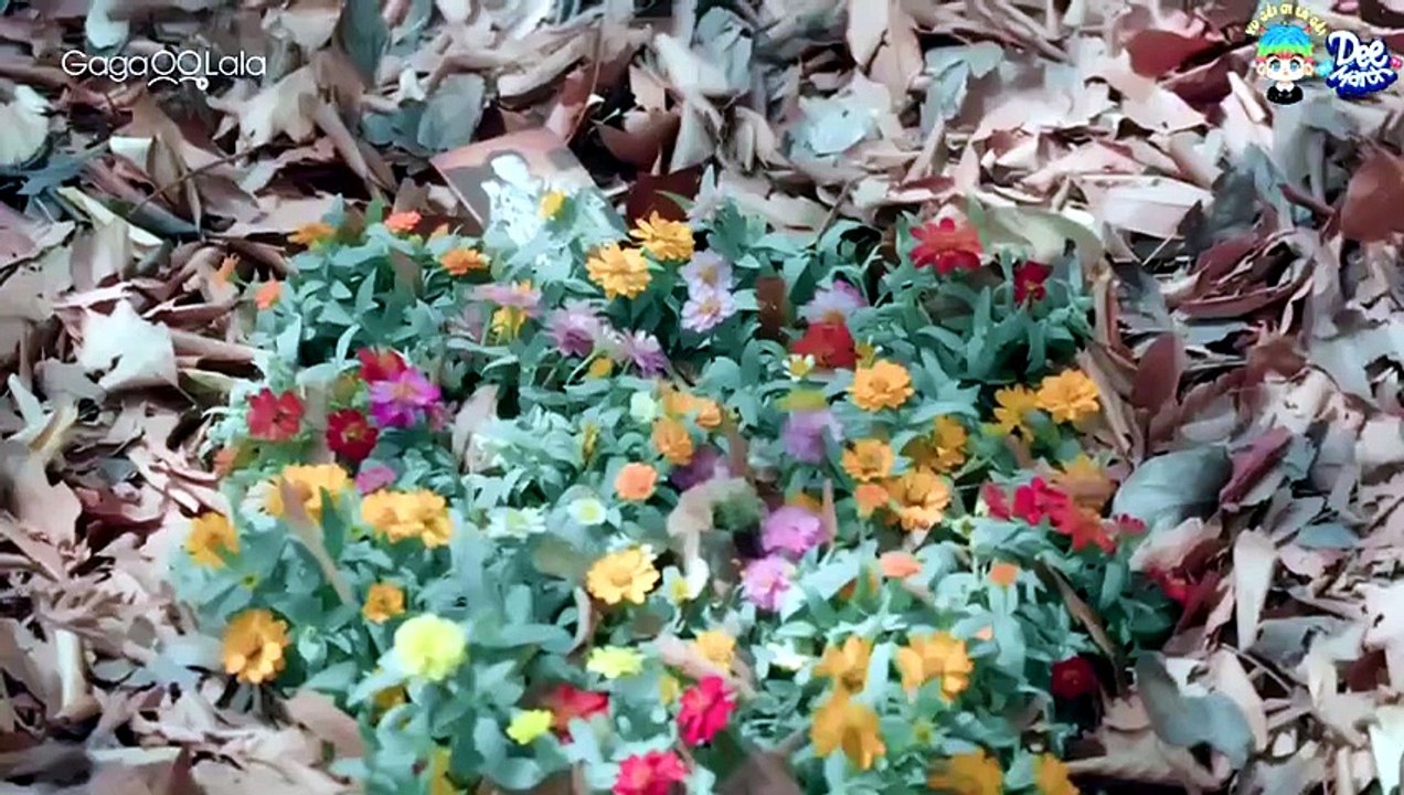 Flower 7