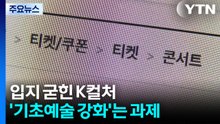 입지 굳힌 K컬처...'기초예술 강화'는 과제 / YTN