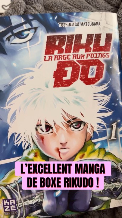 Rikudo le manga de boxe à lire