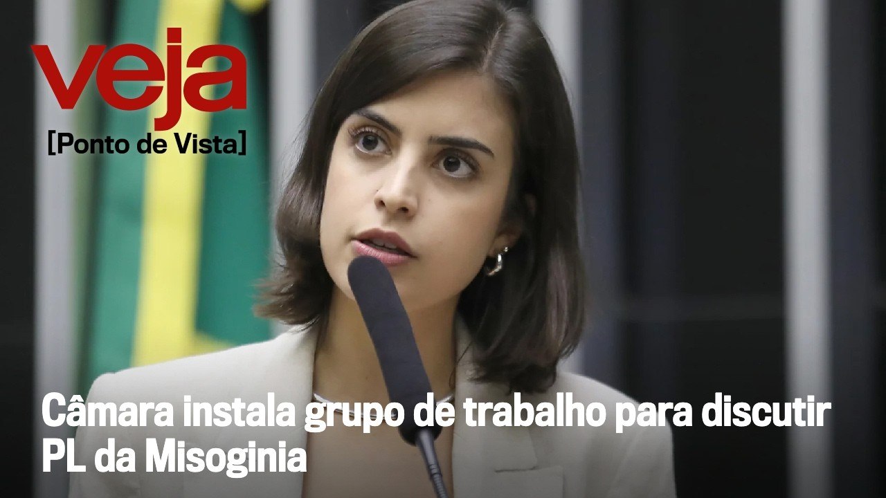 Câmara instala grupo de trabalho para discutir PL da Misoginia | Ponto de Vista
