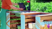 All-in-One Garden Station for Joyful Gardening (part 2) 🙌 #shorts #planting #garden #diy