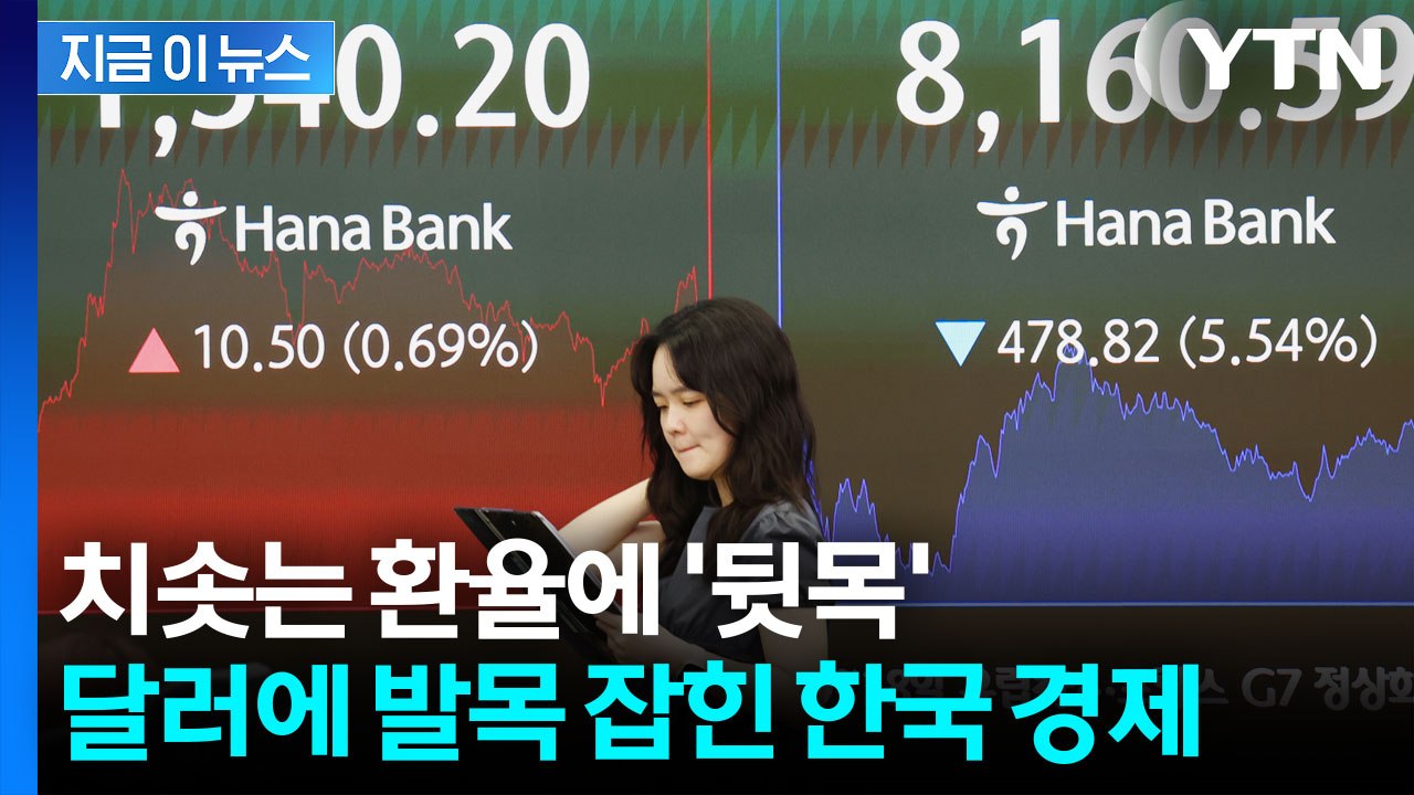 글로벌 금융위기 넘어선 '환율 위기'...정부도 '발동동' [굿모닝위기] / YTN