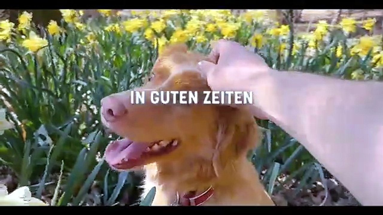 Good Boy Bande-annonce (DE)