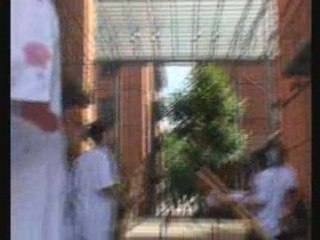 SLR-Lyon-CNRS-190608_320x240