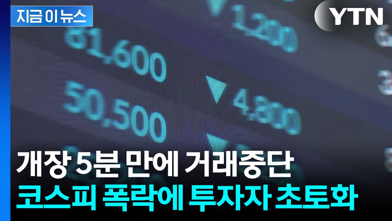 "8천선 무너지고 거래까지 중단"...개장 직후 벌어진 일 [지금이뉴스] / YTN