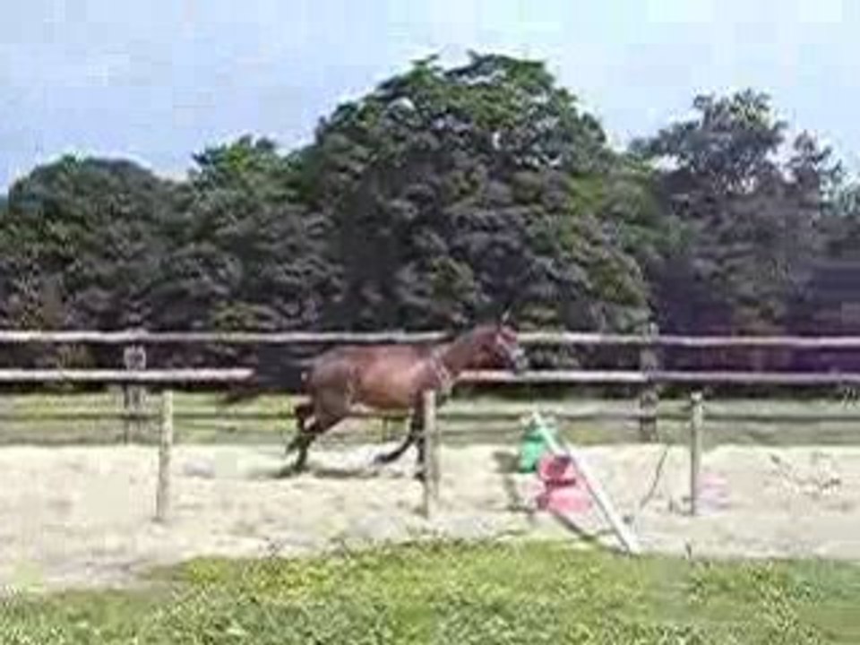 Perle : saut en liberté 4