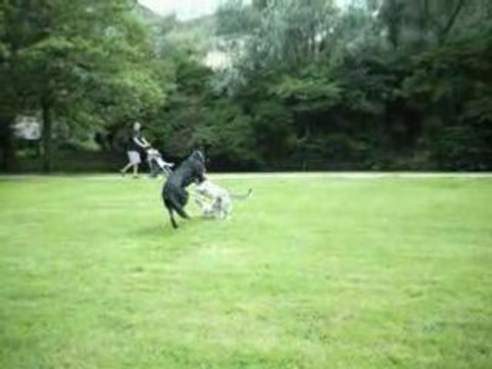 Au parc