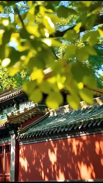 Into the Dragon's Rage Chinese Drama - English Sub