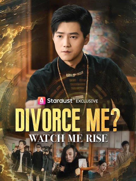 Divorce Me? Watch Me Rise | Full Series | Short Drama English