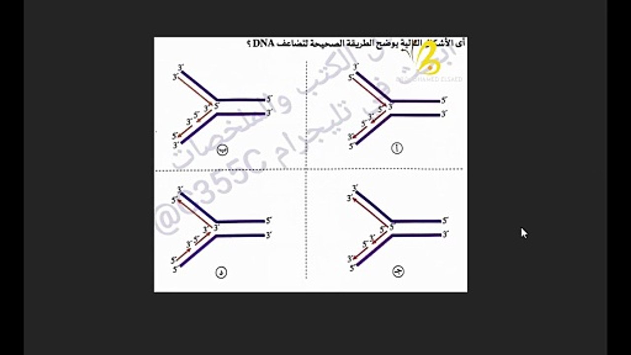 #سؤال_مهم 🚨 | تضاعف الـ DNA: كيف تختار الشكل الصحيح لشوكة التضاعف؟ 👇