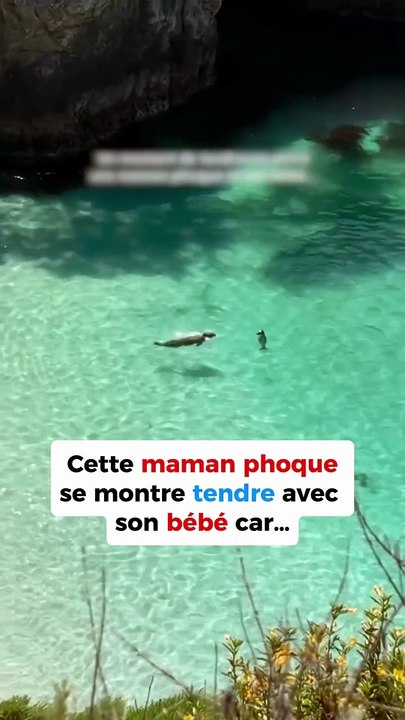 L’amour maternel 💚