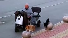La joie de vivre en une balade
