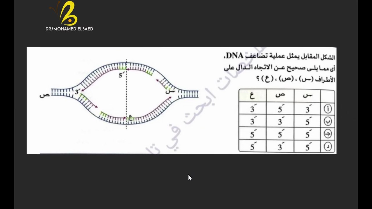 فنيات تضاعف الـ DNA 🧬 | أخطاء شائعة يقع فيها الطلاب.. احذر منها! 👇