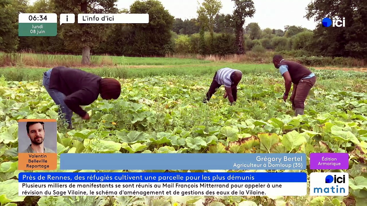 08/06/2026 -  ici matin par ici Armorique en vidéo
