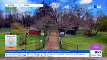 08/06/2026 - ici matin par ici Gironde en vidéo