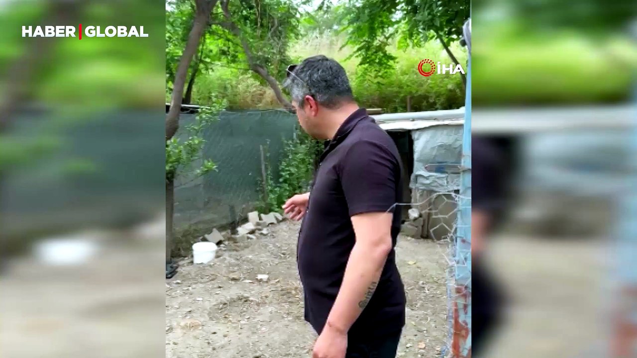 Kümese giren 2 metrelik kara yılanı yakalarken elinden böyle ısırıldı
