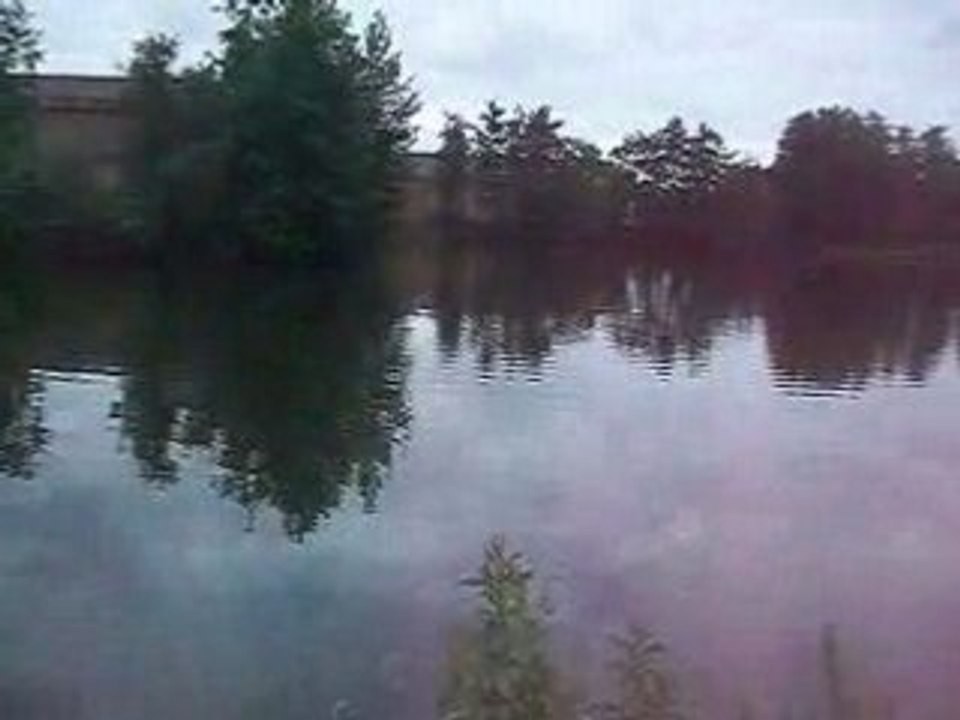 Carpodrome Tertre Juin 2008