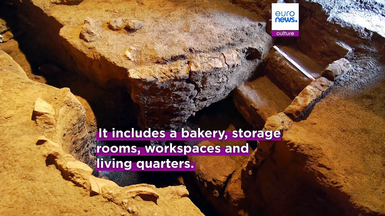 Pompeii excavations reveal equid skeleton at House of the Chaste Lovers