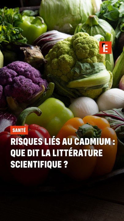 Risques liés au cadmium : que dit la littérature scientifique ?