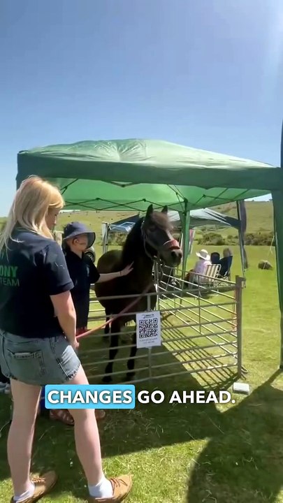 James Wright explains Natural England's potential threat to Exmoor Ponies.