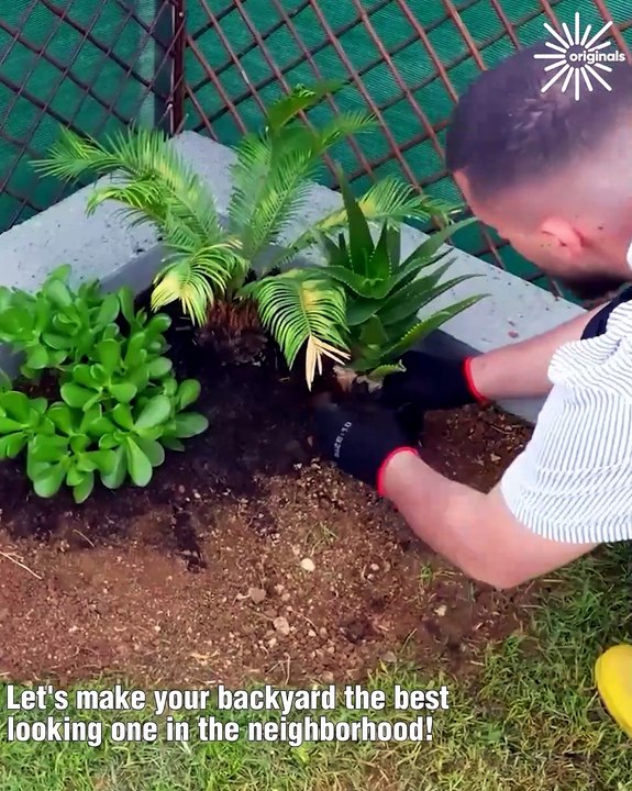 Perfect Flower Beds for Your Backyard!