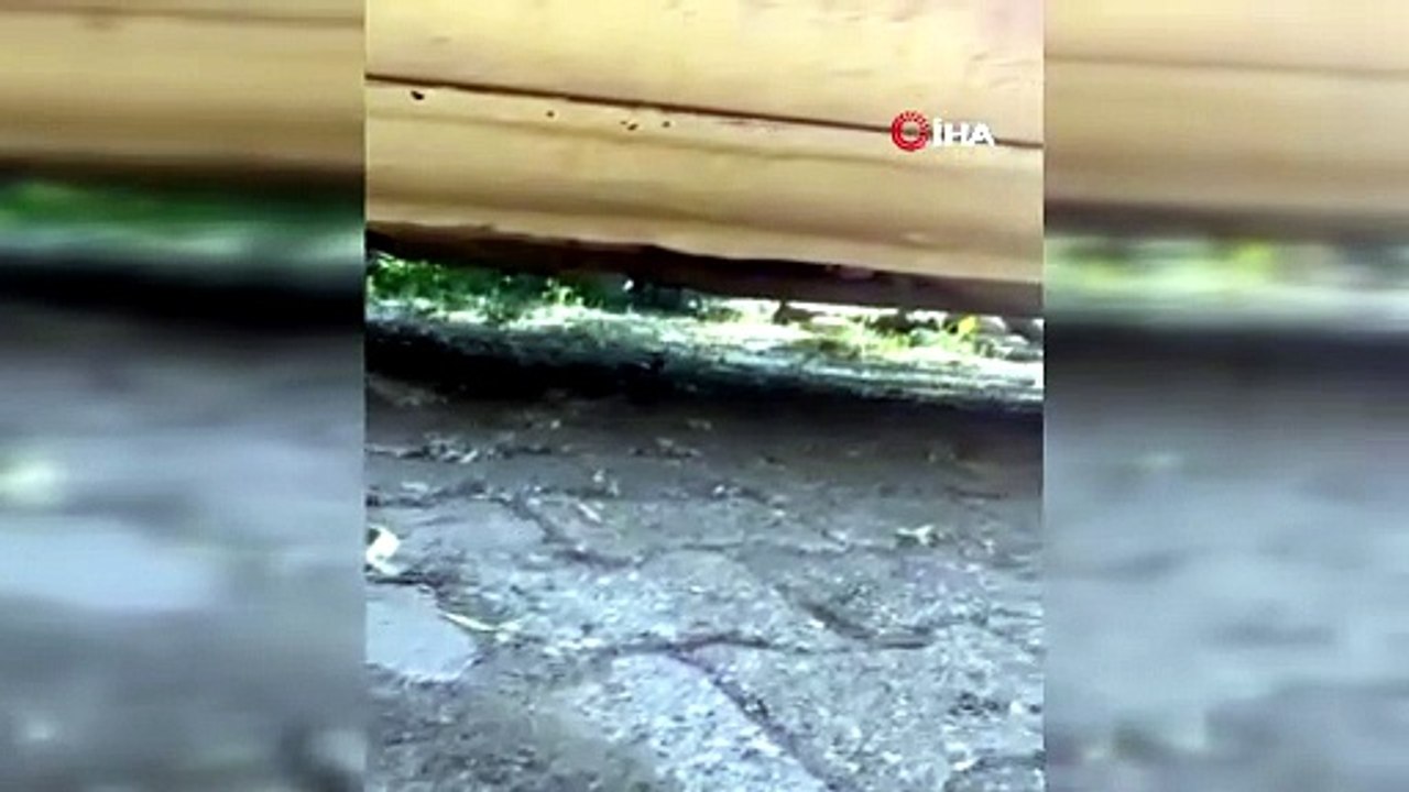 Tokat’ta aracın motor kısmına giren yılanı itfaiye ekipleri kürekle yakaladı