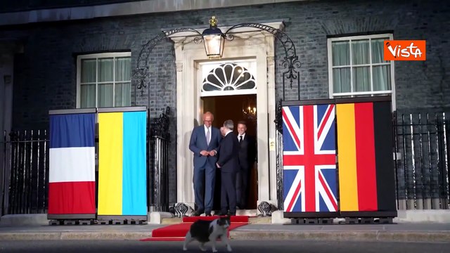 Spunta 'Larry The Cat' il gatto di Downing Street al vertice tra Zelensky, Merz, Starmer e Macron