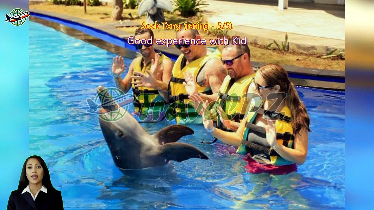 「TravelPZ」 Review Bali Exotic Marine Park : Unique Dolphin Experience in Indonesia's Largest Lagoon