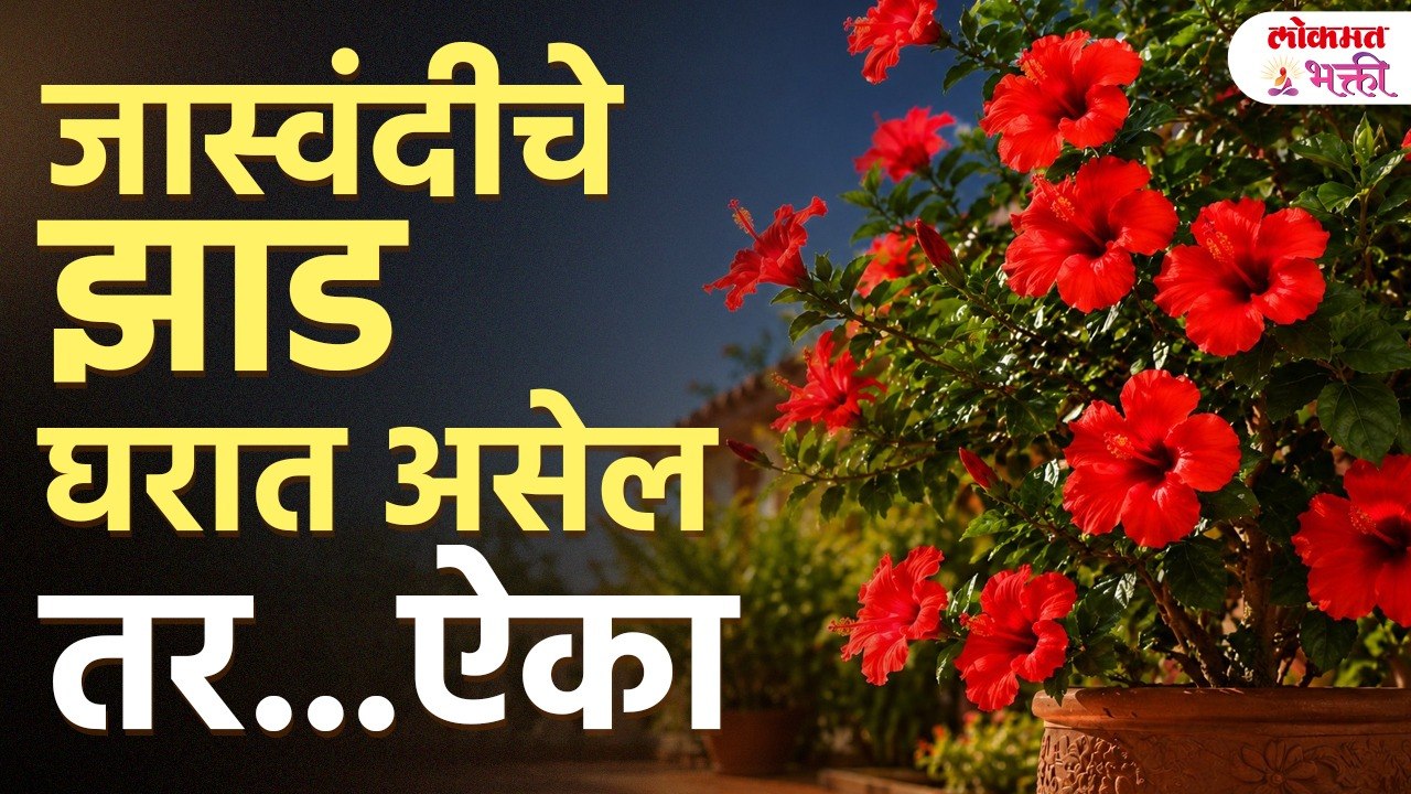 Gharat Jaswandiche Jhad Asel Tar Kay Ghadte? Jaswandichi Puja Kashi Karavi? Yogya Disha Konti?
