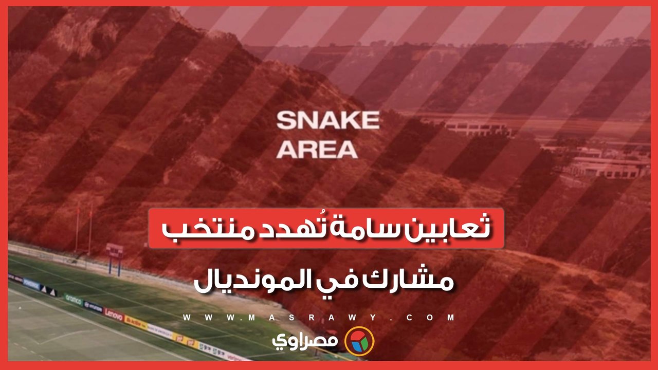 ظهور ثعابين سامة بجوار معسكر منتخب مشارك في المونديال.. ما القصة؟
