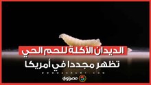 تهدد الثروة الحيوانية.. الديدان الآكلة للحم الحي تظهر مجددا في أمريكا