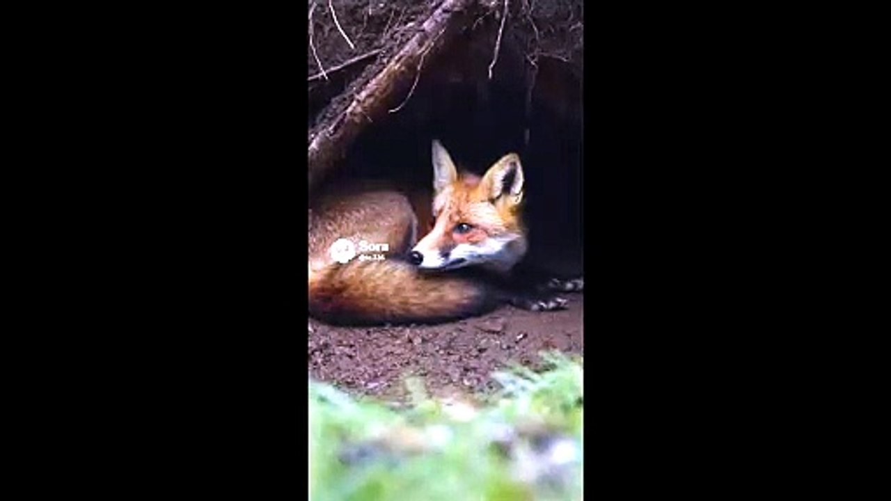 Enduring the storm