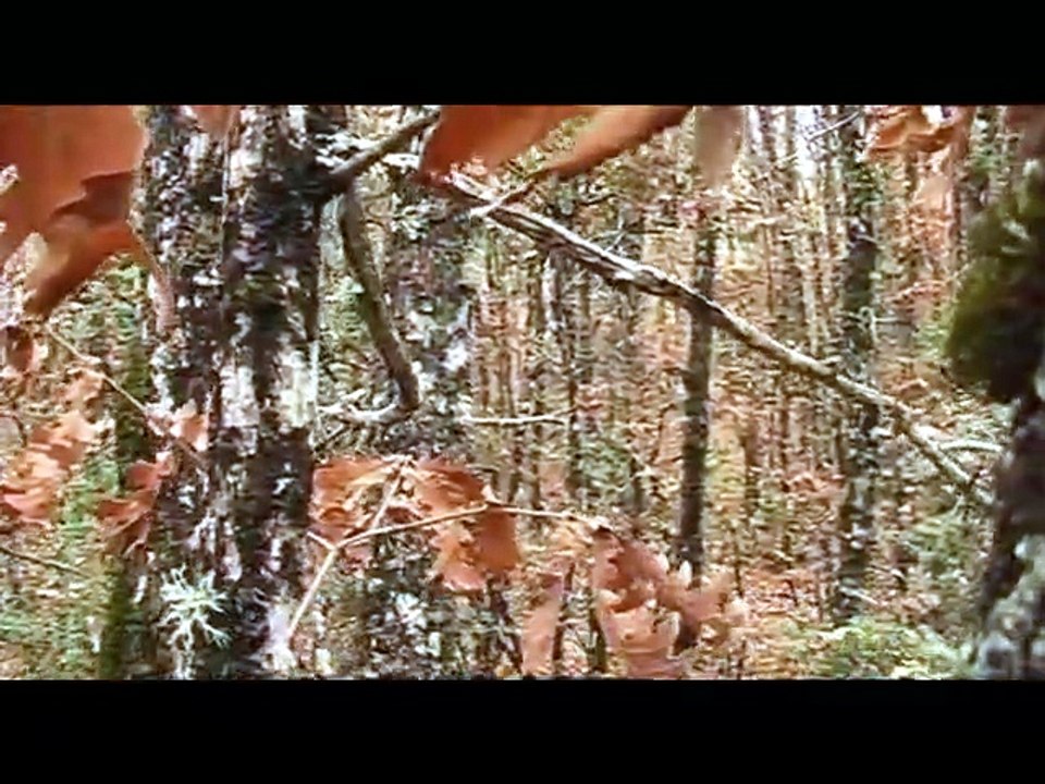 Φεύγωμεν δή φίλην ές Πατρίδα (2006)