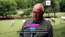 «Итальянские ковбои» буттери: между традициями и современностью
