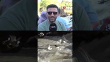 Uçan balıkların muhteşem göç yolculuğu gecikmeli olarak başladı