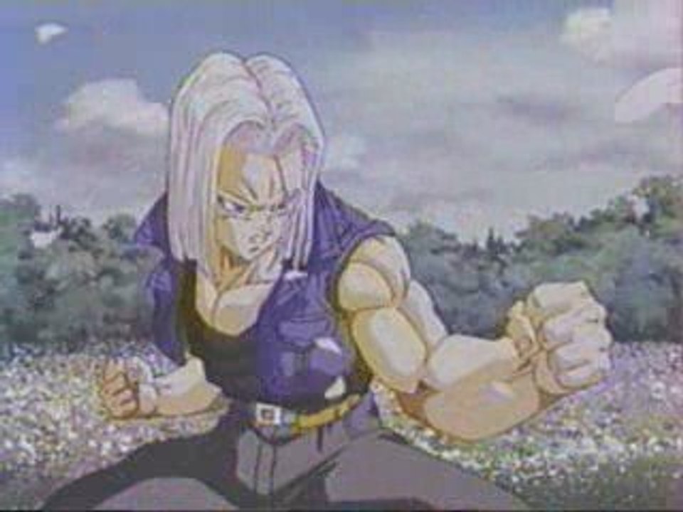 Trunks combat