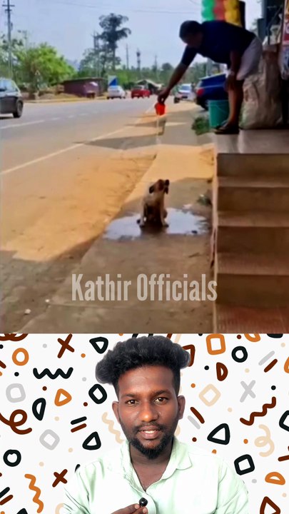 Help the 🐶🐶🐶 Dog